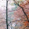 040206 Starved Rock sm.jpg (5665 bytes)