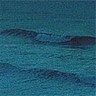 721902 Oregon Coast sm.jpg (3553 bytes)