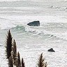 750602 California Coast sm.jpg (4645 bytes)