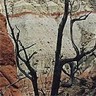 851002 Kodachrome Basin sm.jpg (6152 bytes)