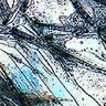 8114 Yosemite Mod4 sm.jpg (7440 bytes)