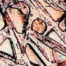 811702 Yosemite Crop Mod2 sm.jpg (7739 bytes)